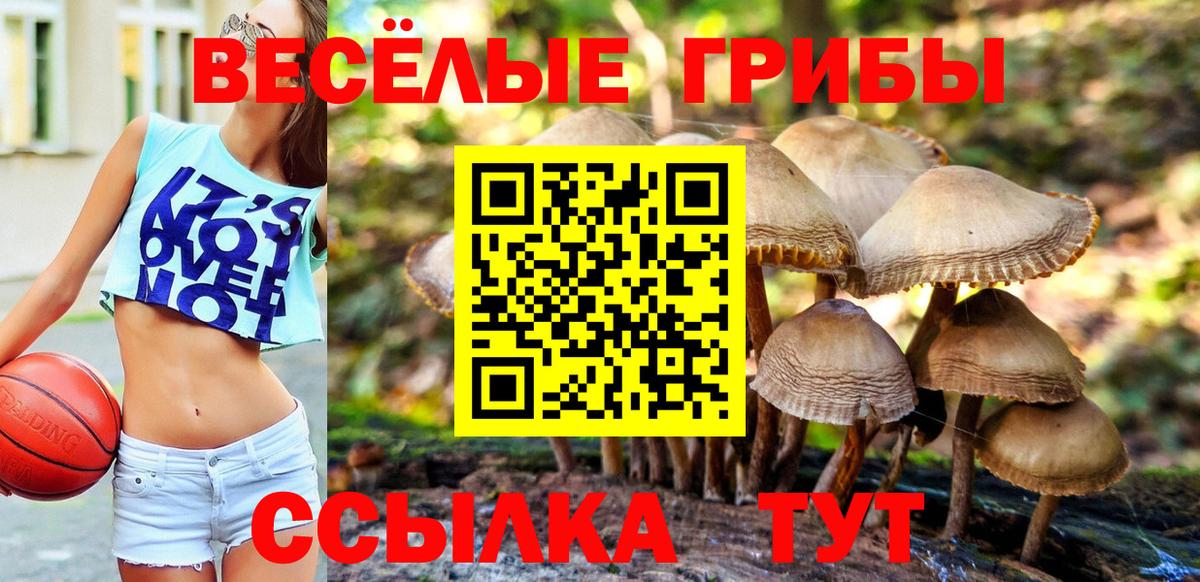 Галлюциногенные грибы прущие грибы  Вход с VPN  Псилоцибиновые грибы Psilocybe  Печора 